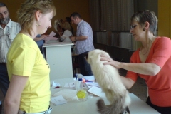 Judge Lesley Morgan Blythe is judging