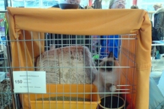 Our cage number is 150