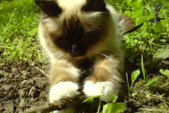 10 mesiacov (3)
