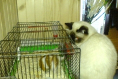 11 mesiacov (1)