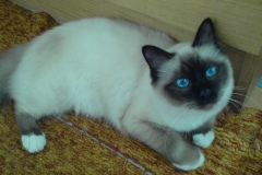 8 mesiacov (1)