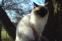 8 mesiacov (2)