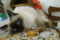 9 mesiacov (2)