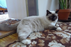 10 mesiacov2