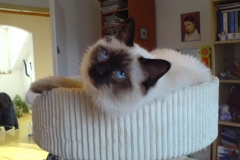 8 mesiacov2