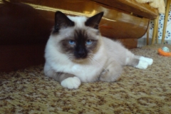 9 mesiacov3