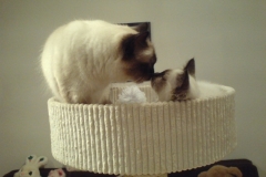 Candy and Rubens after his arrival (2)
