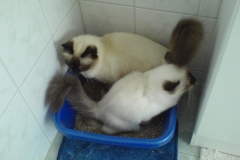 We do all together
