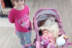 7 mesiacov