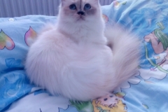 1 rok a 6 mesiaccov