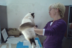 Judge Maria Cristina Kowalczuk and Candy