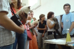 Nomination to BIS, picture 2